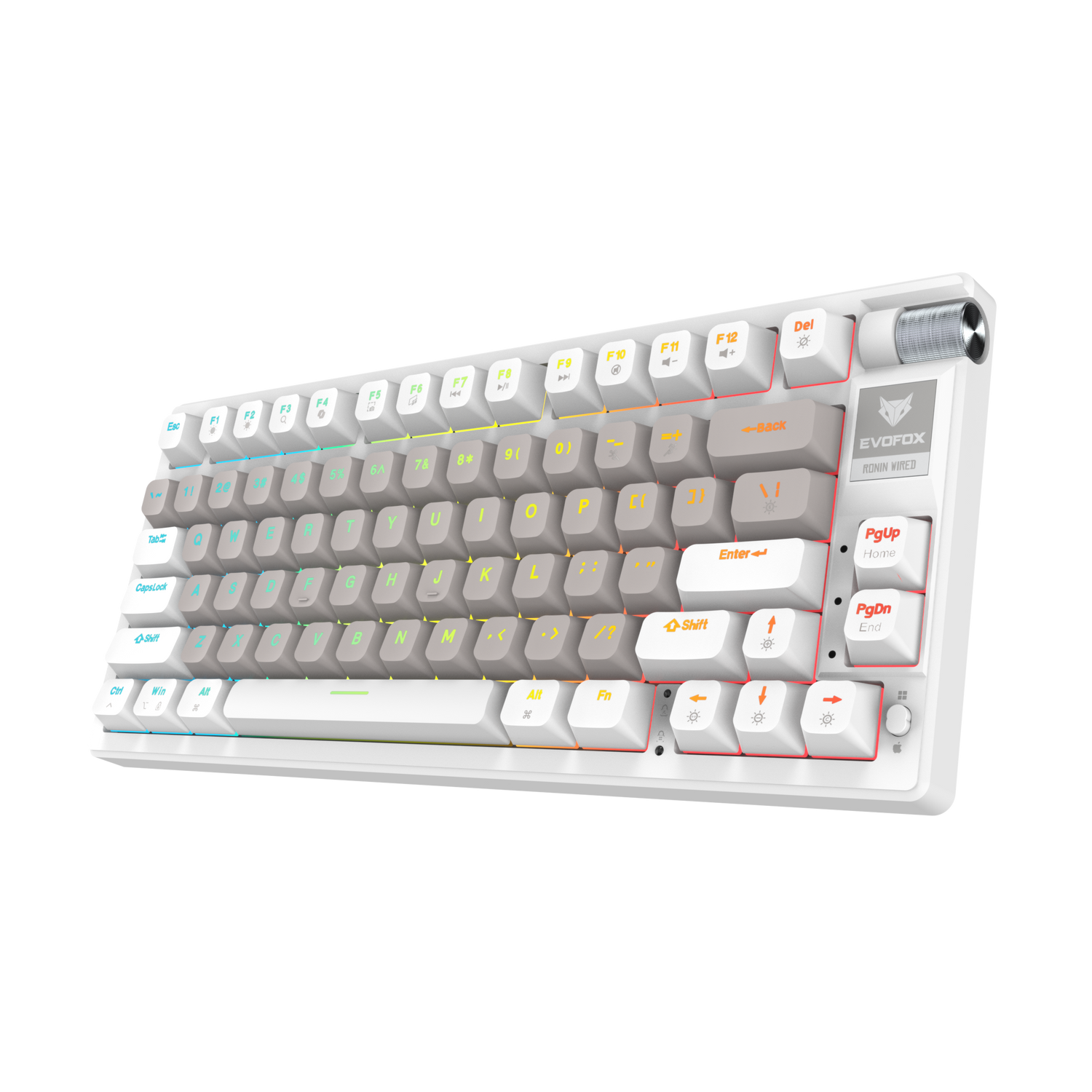 EvoFox Ronin TKL Wired Mechanical Keyboard
