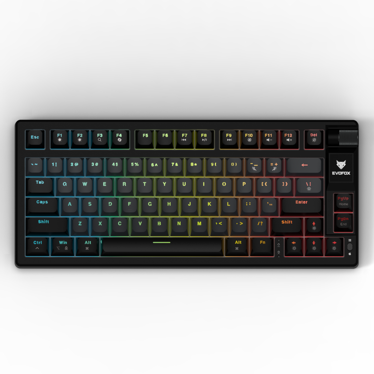 EvoFox Ronin TKL Wired Mechanical Keyboard