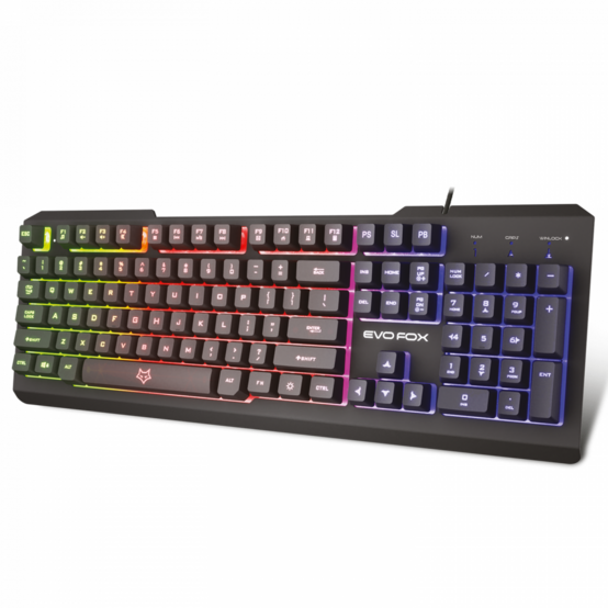 EvoFox Warhammer Gaming Keyboard