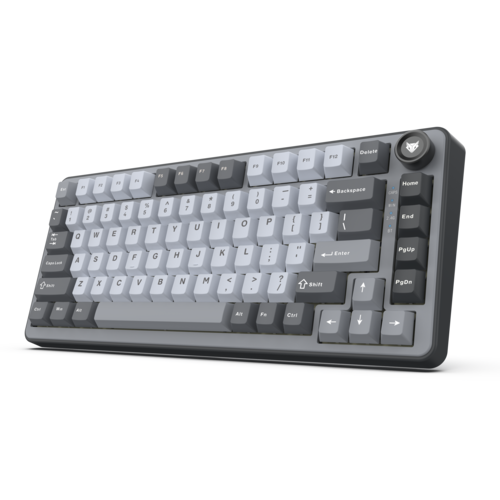 Gaming Keyboards – Amkette