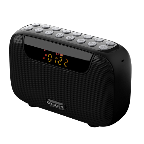 FM Speaker