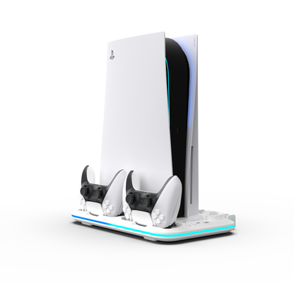 EvoFox PS5 Cooling Dock