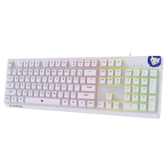 EvoFox Deathray RGB Gaming Keyboard