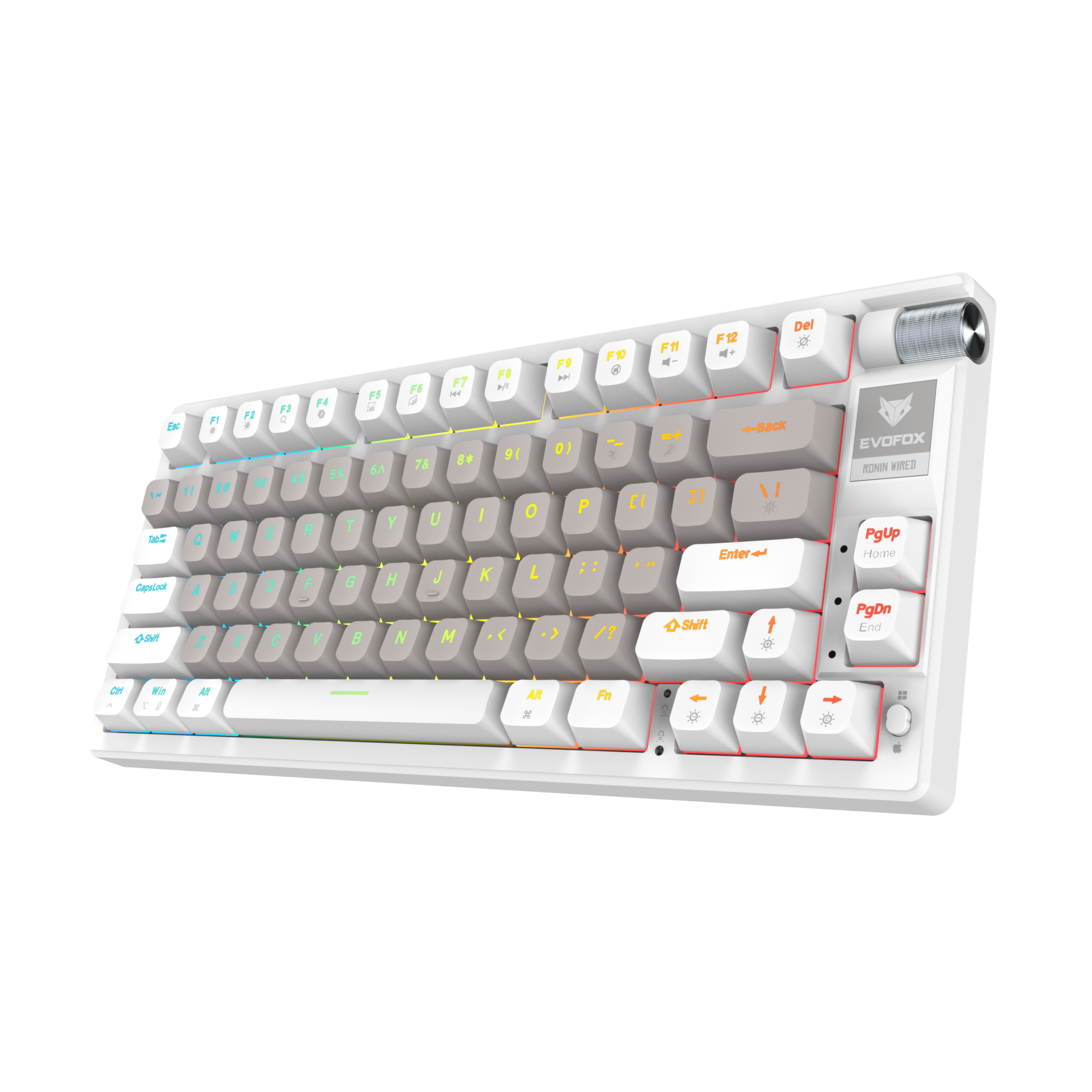 EvoFox Ronin TKL Wired Mechanical Keyboard