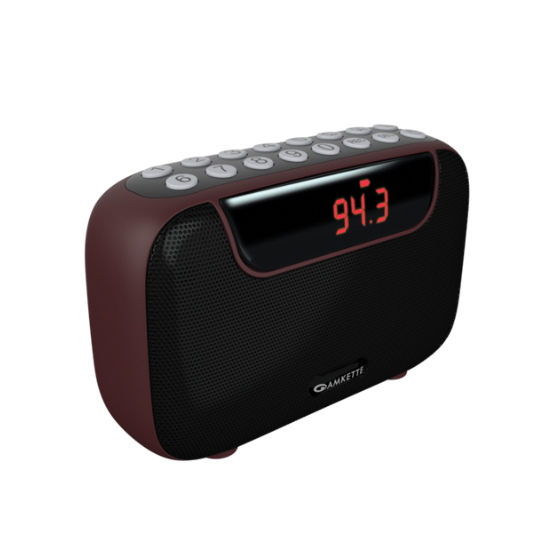 Pocket Blast FM Radio with Bluetooth