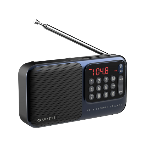 Pocket Mate Bluetooth with FM – Amkette