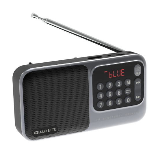 Pocket Mate Bluetooth with FM